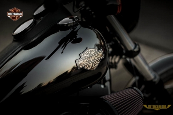 Harley-Davidson® Low Rıder® S