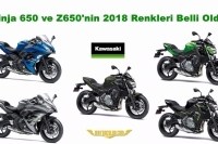 Ninja 650 ve Z650'nin 2018 Renkleri Belli Oldu